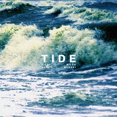 Dizzy Gordo  - Tide ft. Miles Meraki (rMell edit)