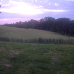 Dying Since The Day We Were Born