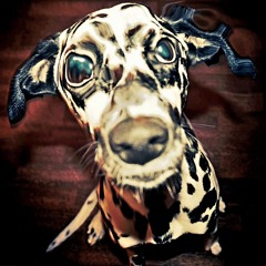 Usmev "Santa Calenta"