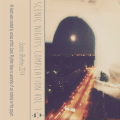 w r o n g - SR004: Scenic Nights Vol 1