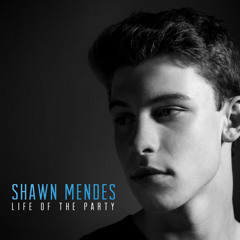 Life of The Party - Shawn Mendes (cover)