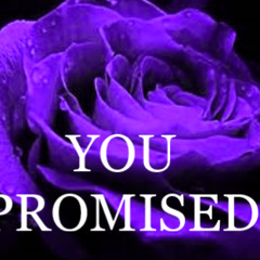 YOU PROMISED