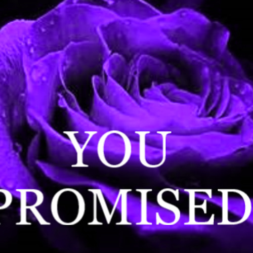 YOU PROMISED
