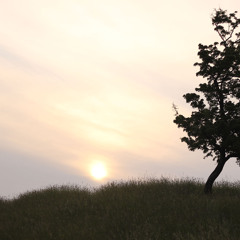 1 Ilargiari Galdezka