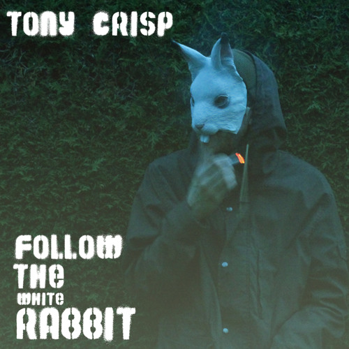 White Rabbit Intro Stream 1 The White Rabbit (Intro) by follow_the_white_rabbit | Listen ...