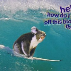 The House of the Rising Sun (Surf cover)