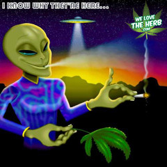 TDeezy x MadBliss - Alien Kush