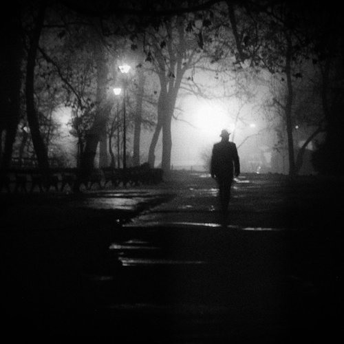 Out of the dark