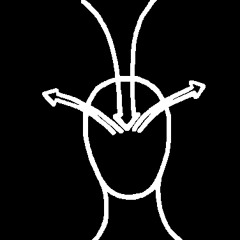 There Is A Sky With No Light And A Universe Of Stars In A Temporal Lobe Somewhere