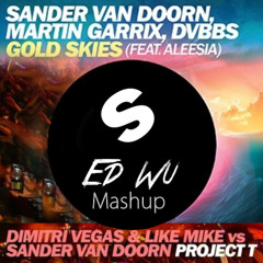 Gold Skies Vs Project T - Martin Garrix, DVBBS, Doorn, DV&LM (DJ UwU FREE Mashup)