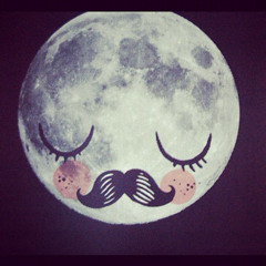 Fly Me To The Moon by Frank Sinatra Ukulele Cover