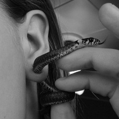 Calamares Feat. Reg Rubio- Wolfmann