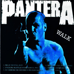 Pantera - Walk (Cover)