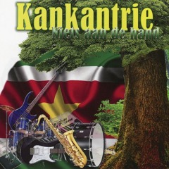 Kankantrie - Niets Aan De Hand