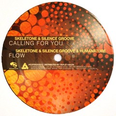 HumaNature, Skeletone & Silence Groove - Flow