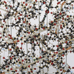 Atomic Radio Episode 5: Inside a molecule of a whale