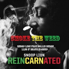 Smoke The Weed(LLeo N' Beats Mashup)