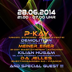 Chris Lehmann (Demolition) @ Pkay-Bday Bash /Halle KA, 28.06.2014