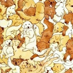 Lost stars (not sure who i was covering)