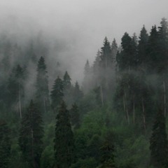 BATTLES + hudson taylor