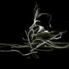 Royals - Lorde *test ( Nat & Marc )