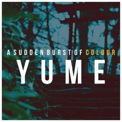 A Sudden Burst Of Colour - Yume