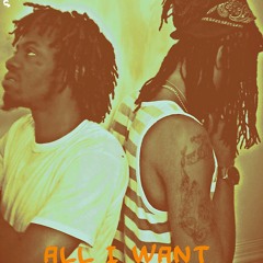 All I Want Ft. Flakko Quez