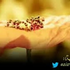 تخيلي انك مكانها !! Grateful Bondwoman عصام الشايع