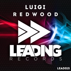 LuiGi - Redwood (Original Mix)