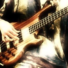 The Hollywood Groove