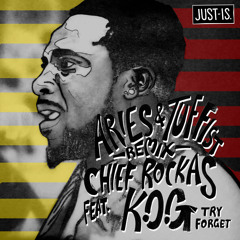Chief Rockas ft. K.O.G - Try Forget - ARIES & TUFFIST REMIX