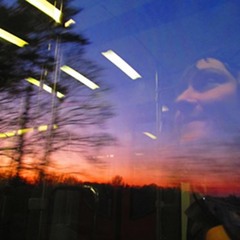 Electropop Songs by ABELHA feat. Abelha Supersónica