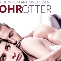 Antenne Hessen Comedy - Vierohrotter (Folge1)