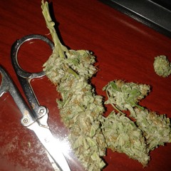 Jota Equis Ce (Beat.Seizor)