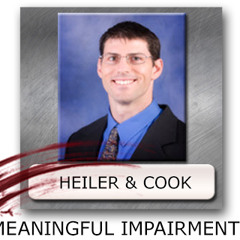 Heiler and Cook Impairments Sample