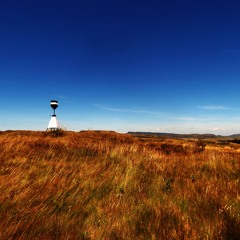 Ceaseless (Original Mix)