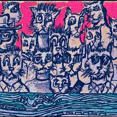 Televised Invisiblind~Meow