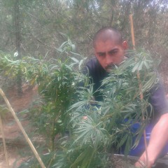 Kornerblocc.. smoke that weed