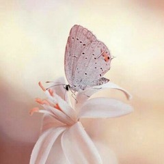 وتظل في عيني جمآل :* ~