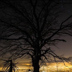 Moby & Mark Lanegan 'The Lonely Night' (Logarythm Remix)