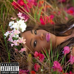 Wildin' - Tica Holiday