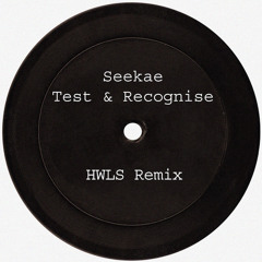 Seekae - Test And Recognise (HWLS Remix)