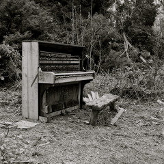 The Story Of Piano In The Woods