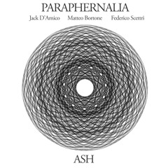 Paraphernalia | Beautiful Agony [J.D'Amico]