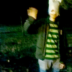 Le Genti Non Sono Intelligenti