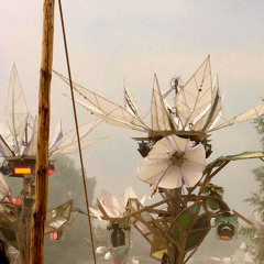 Fusion Festival 2014