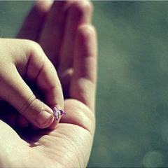 أعتذر إن كان في يوم خطيت ..~
