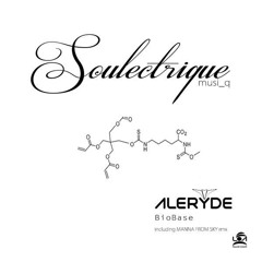 Aleryde /Bio Base/ Manna From Sky Remix /souletrique musi_q 001