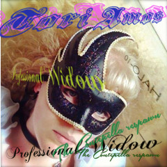 Tori Amos - Proffesional Widow (Armand Van Helden Remix:Contepella Re - Do)