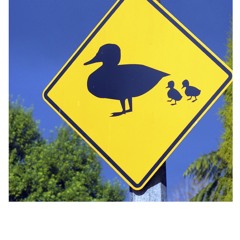 Stars and Stripes Forever by Ducks Part② pour sonerie de téléphone!!